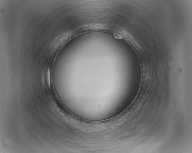 X0000069390014200605121223