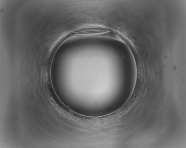 X0000069390015200605121223