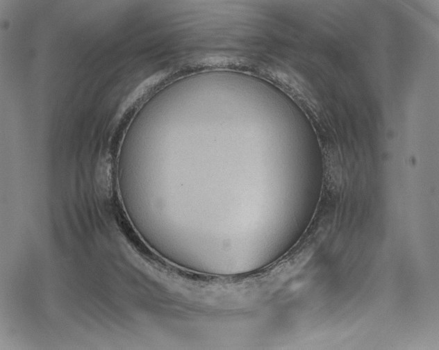 X0000069390016200605121223