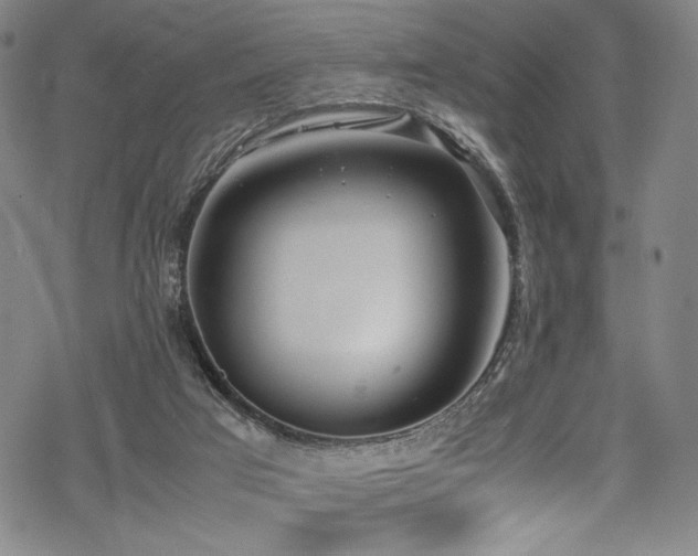 X0000069390017200605121223