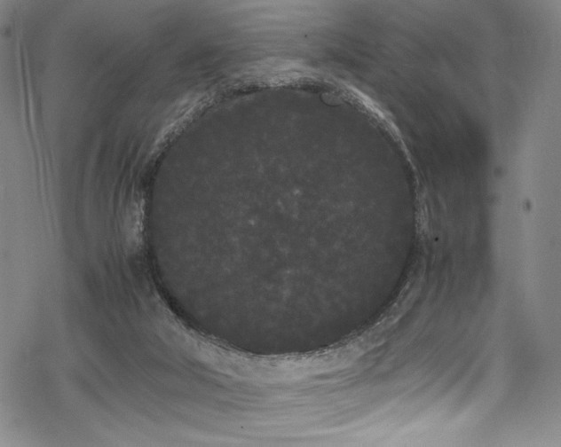 X0000069390018200605121223