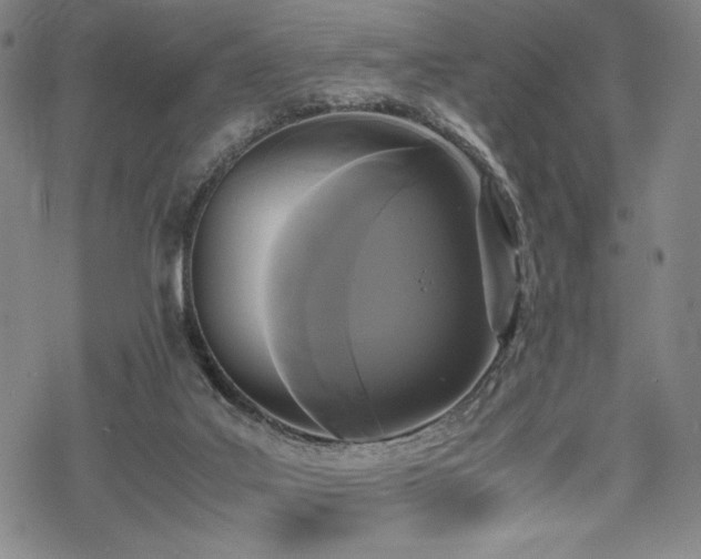 X0000069390019200605121222