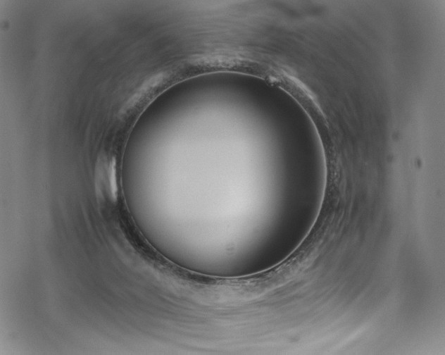 X0000069390020200605121222