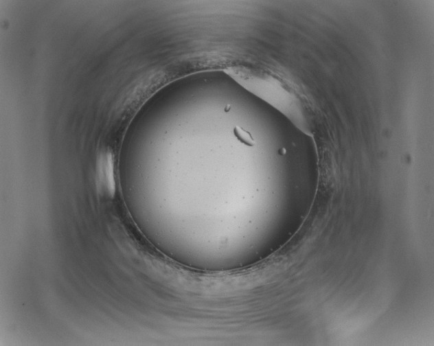 X0000069390022200605121222