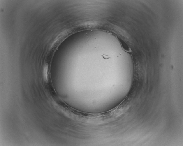 X0000069390024200605121222