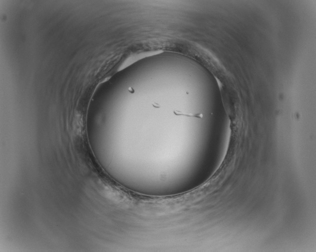 X0000069390025200605121222