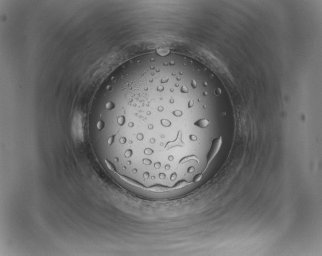 X0000069390026200605121222