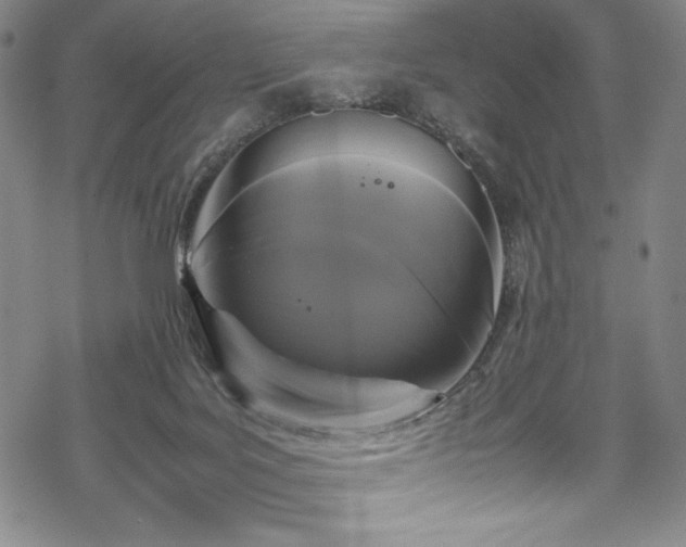 X0000069390027200605121222