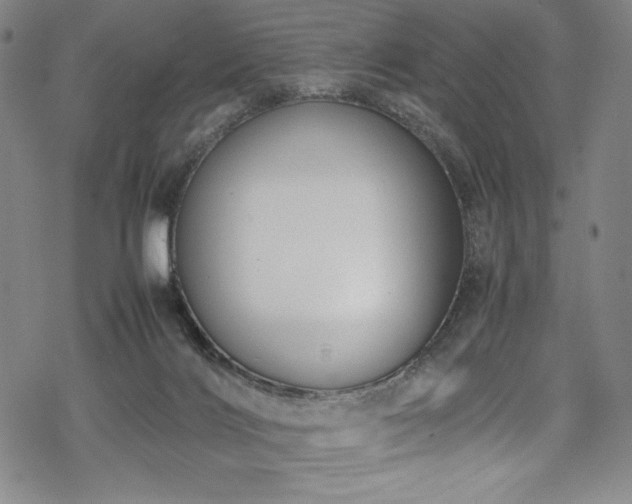 X0000069390028200605121222