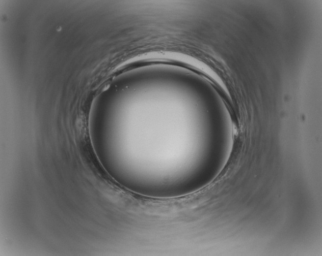 X0000069390029200605121222