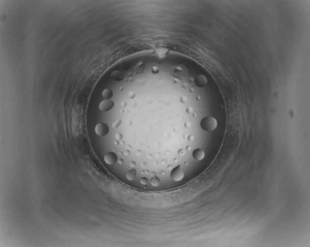 X0000069390030200605121222