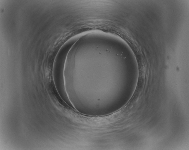 X0000069390031200605121222