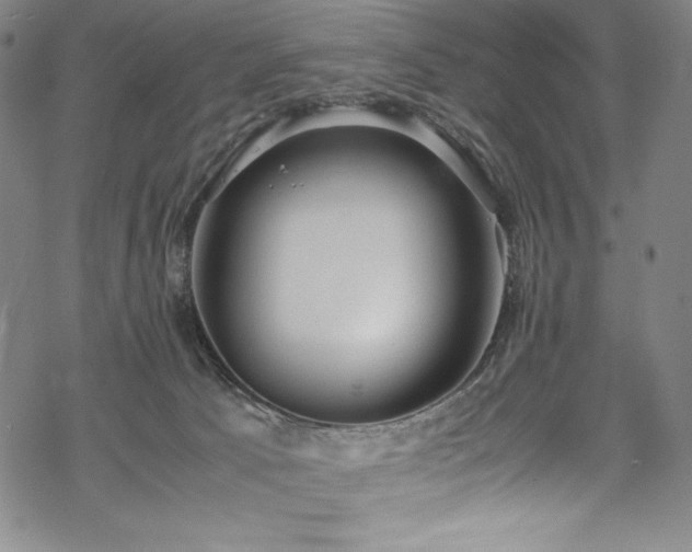 X0000069390033200605121222