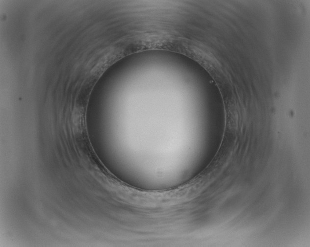 X0000069390034200605121222