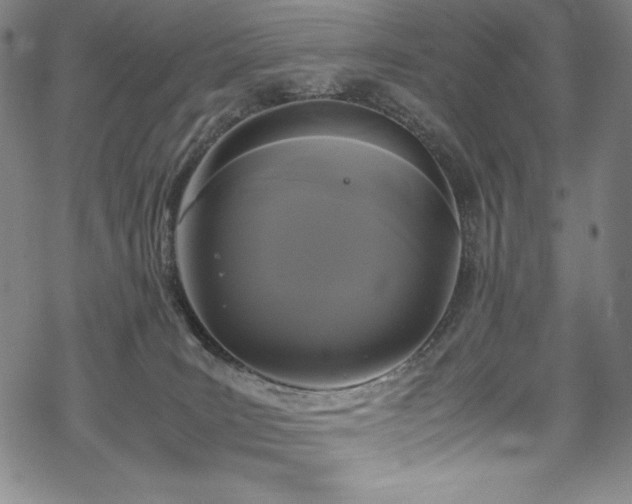 X0000069390035200605121222