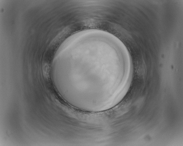 X0000069390036200605121222