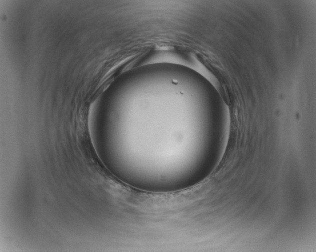 X0000069390037200605121222