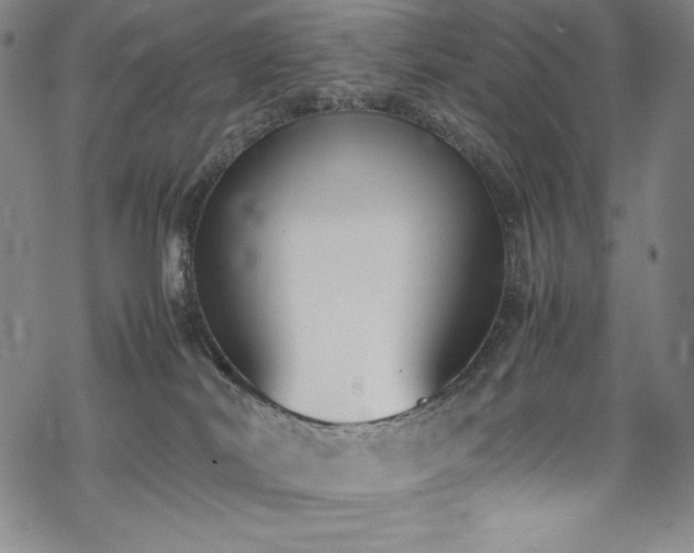 X0000069390038200605121222