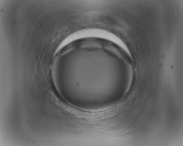 X0000069390039200605121222