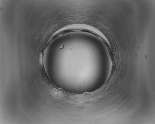 X0000069390041200605121222