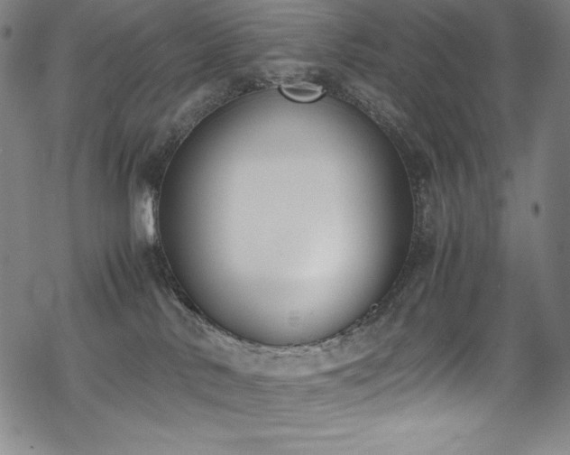 X0000069390042200605121222