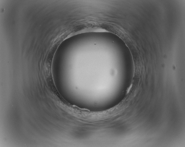 X0000069390043200605121222