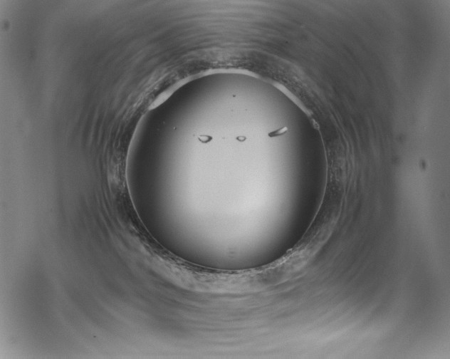 X0000069390044200605121222