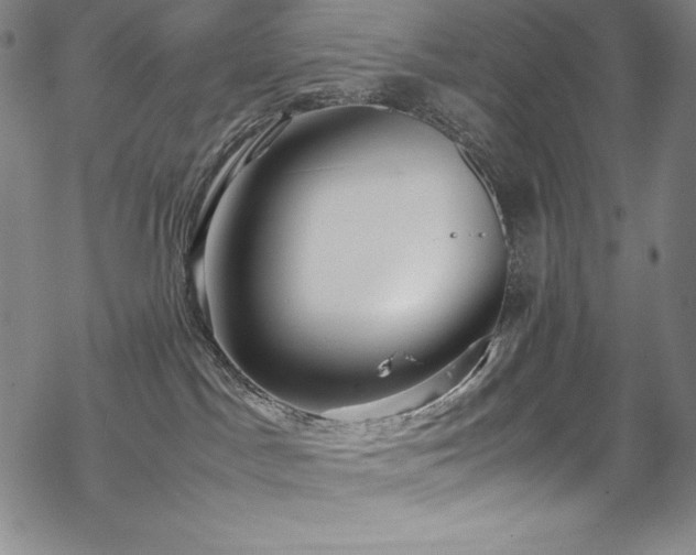 X0000069390045200605121222