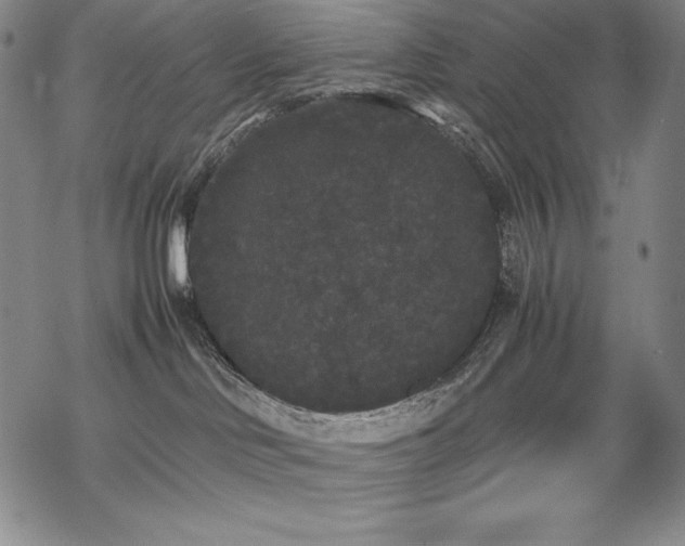 X0000069390046200605121222