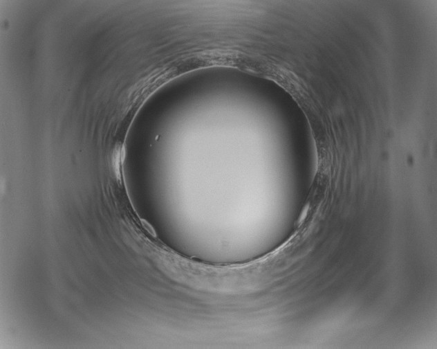 X0000069390047200605121222