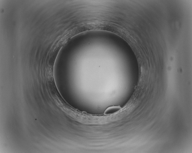 X0000069390048200605121222