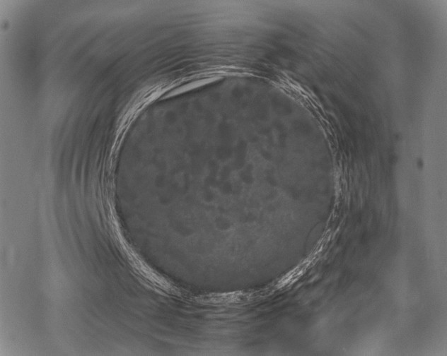 X0000069390049200605121221