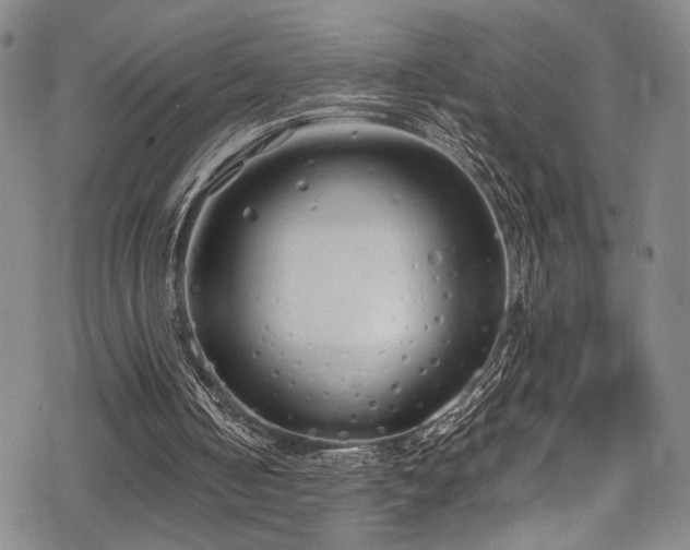 X0000069390050200605121221