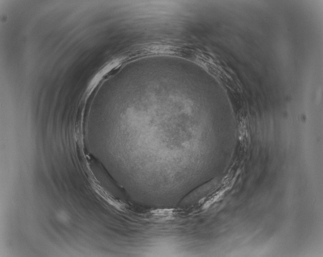 X0000069390052200605121221