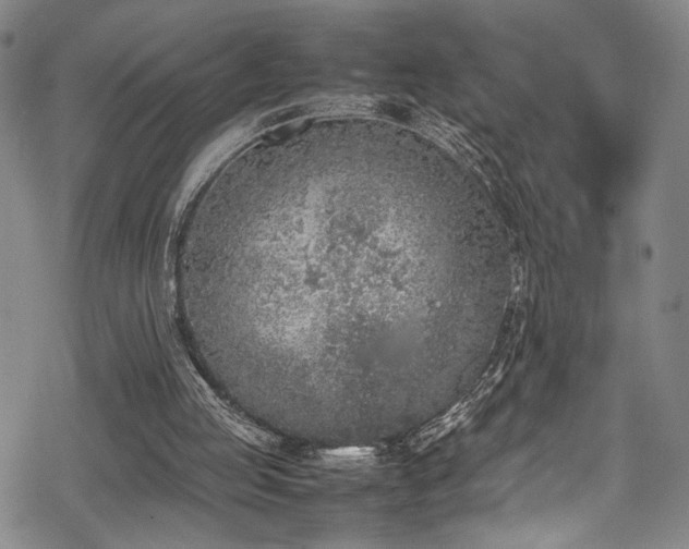 X0000069390053200605121221