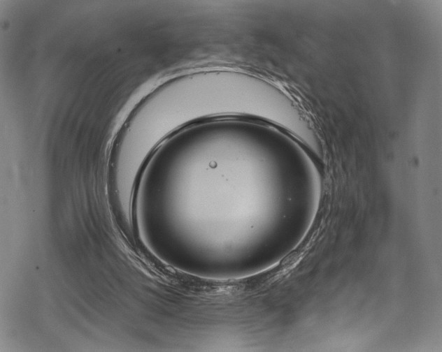 X0000069390056200605121221