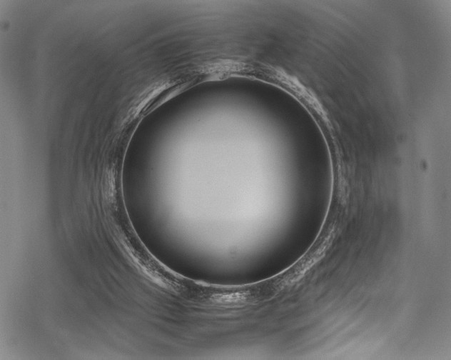 X0000069390057200605121221