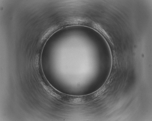 X0000069390058200605121221