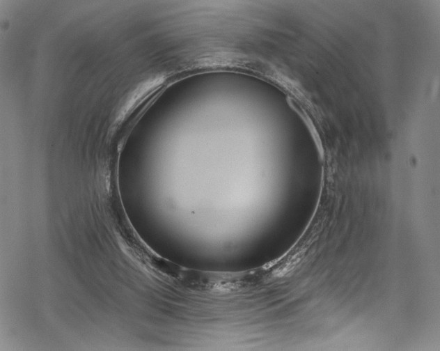 X0000069390060200605121221