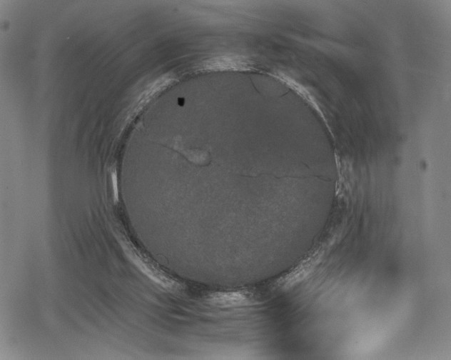 X0000069390061200605121221