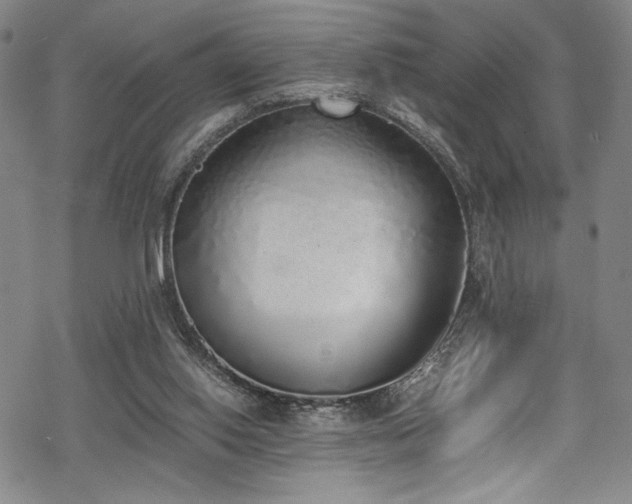 X0000069390062200605121221