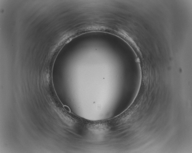 X0000069390063200605121221