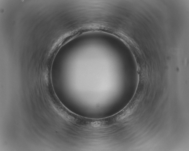 X0000069390064200605121221