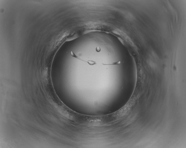 X0000069390066200605121222