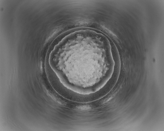 X0000069390067200605121222