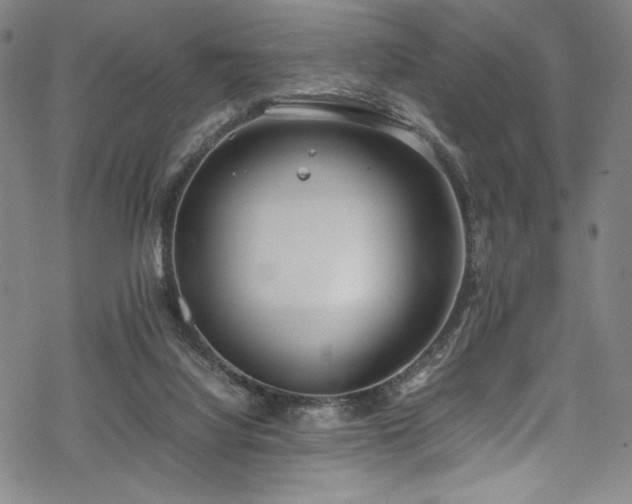 X0000069390068200605121222