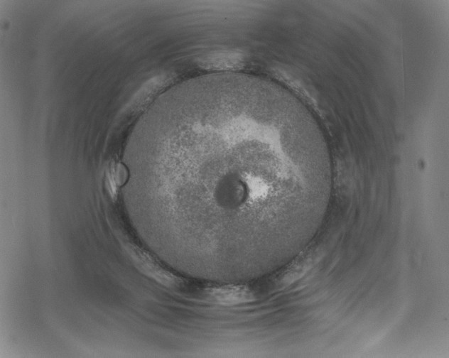 X0000069390069200605121222