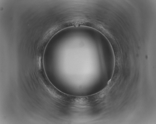 X0000069390070200605121222