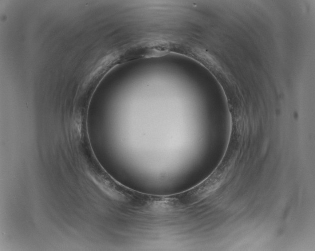 X0000069390072200605121222