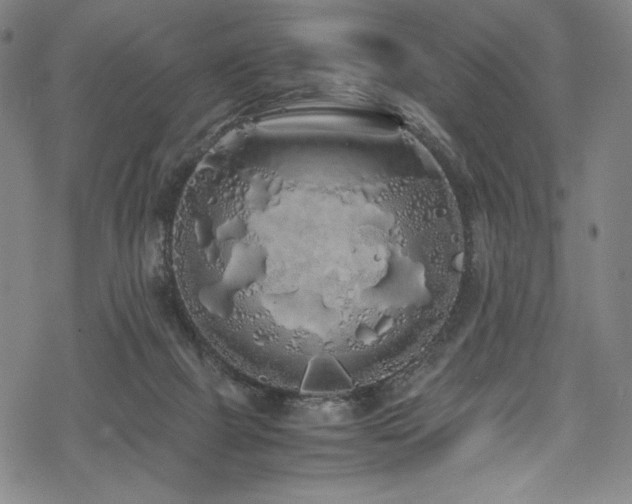 X0000069390073200605121222